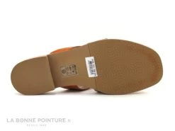The Divine Factory QL4335 Terra Cotta - Orange - Python - Mule -Chaussures Pour Femmes cd24607c73b9e66c561f35ea11d5d5ef img 0320.jpg 160413